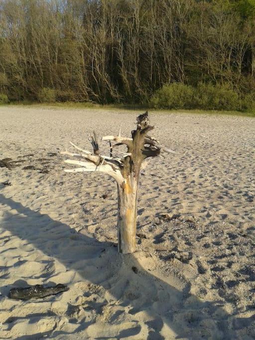 Strand & Garten Surendorf Esterno foto